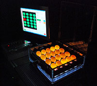 Una cámara especializada captura imágenes de los huevos iluminados dentro de esta caja transparente. Dentro, los huevos se someten a un ligero vacío (presión negativa) que mejora las microgrietas del cascarón existentes y las hace más visibles.