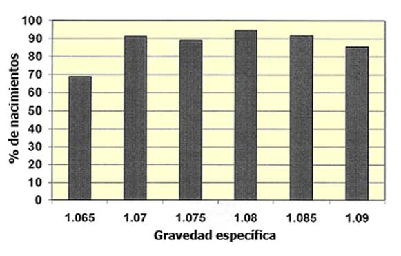 Incubabilidad de huevos comerciales por gravedad específica mediante solución salina