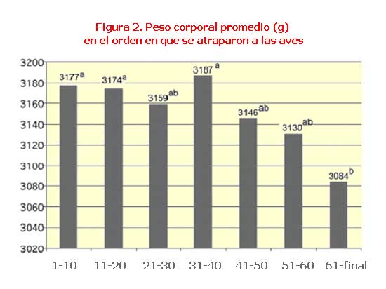 Peso corporal promedio (g) en el orden en que se atraparon a las aves