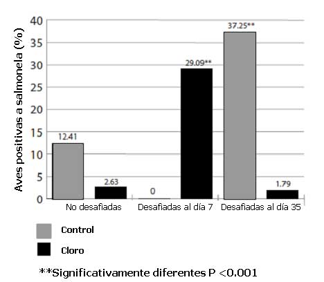 Efecto del agua clorada en pollos de engorda inoculados con salmonela