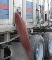 Descargando sorgo en una fábrica de alimentos