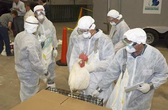 Las medidas de bioseguridad son clave para prevenir las emergencias sanitarias