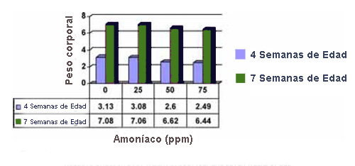 Gráfica 1. La exposición a concentraciones de amoníaco tan bajas como 25 ppm durante los primeros 28 días puede tener un efecto negativo en el peso corporal tanto a las cuatro así como a las ocho semanas de edad (Miles et al., 2004)