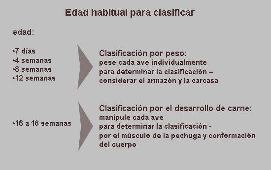 Edad habitual para clasificar
