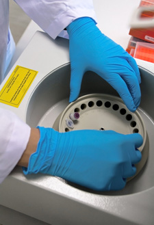 La técnica de PCR permite la diferenciación entre las cepas de vacuna y las de campo