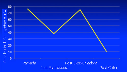 Figura 1: Media de prevalencia de pollos/canales con Campylobacter en la fase de producción/procesamiento en los EUA.