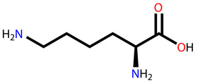  Lisina: modelo estructural