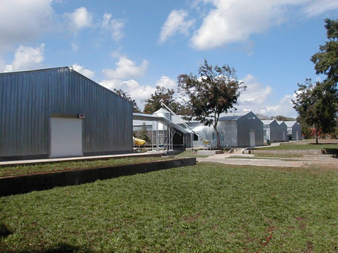 Vista exterior de las galeras de producción de huevo (Foto cortesía de El Granjero)