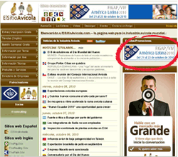 Banner advert top right of home page