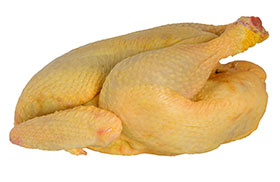 Pigmentación en pollo de engorde - El Sitio Avicola