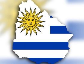 La avicultura y su transformación